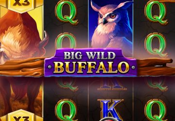 Автомат Big Wild Buffalo в казино ЧемпионСлот
